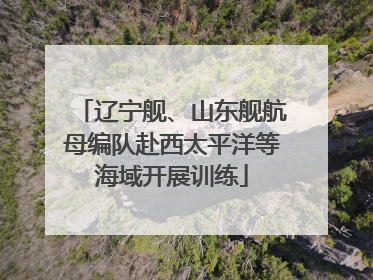 辽宁舰、山东舰航母编队赴西太平洋等海域开展训练